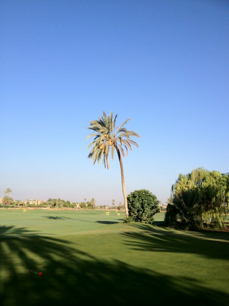 Stage de Golf Maroc, Marrakech